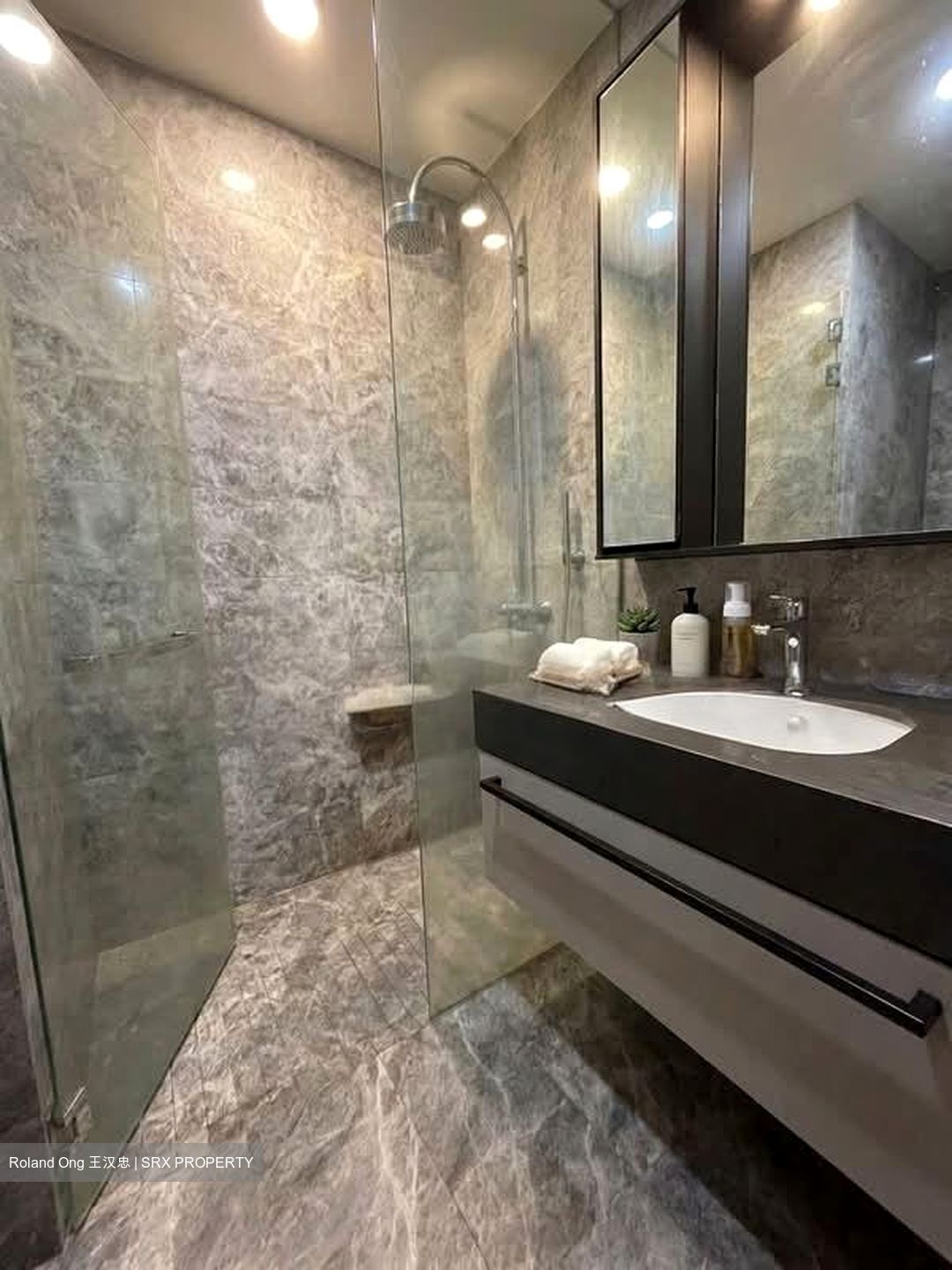 Parksuites (D10), Apartment #576811171